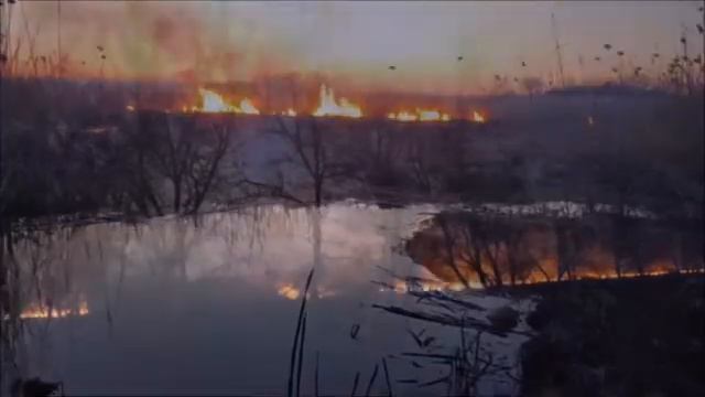 Между с Ямполь и с Прилежное 26.03.2020 смотреть онлайн