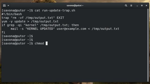 Using Trap to Exit Bash Shell Scripts Cleanly - Linux Tutorial смотреть онлайн