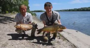 Ловля сазана на реке Дон. Бьем рекорды!