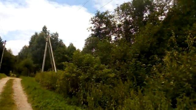 Дачи в лесу,красота необыкновенная смотреть онлайн