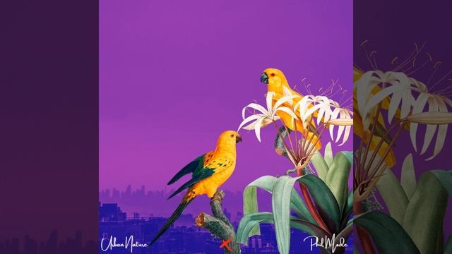 2nd Gear смотреть онлайн