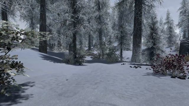 Skyrim- Northern Honor смотреть онлайн