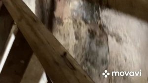 Пирамиды -Гизы (вокруг, внутри)