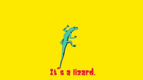 Pets Talking Flashcards