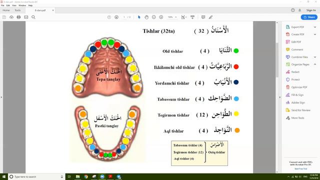 Tajvid 8 - Dars Tishlar