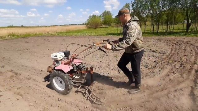 Боронование кортошки смотреть онлайн