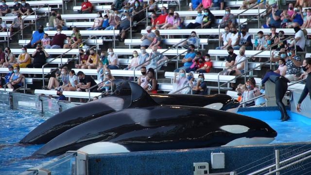 SeaWorld Orlando 2021 4K Tour And Overview | Detailed Theme Park Tour Orlando Florida Coasters 60fp