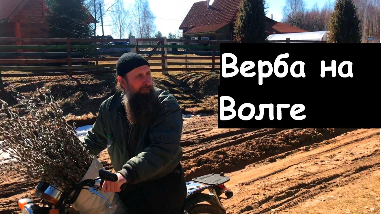 Верба на Волге смотреть онлайн