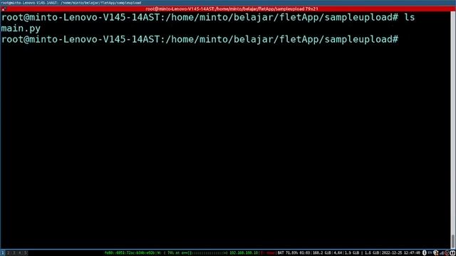 Flet Tutorial - Upload File with FilePicker смотреть онлайн