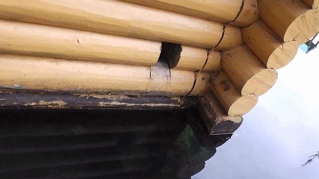 Серафи́мо-Диве́евский монасты́рь (Дивеево, Нижегородская область), 20.10.2016 г. смотреть онлайн