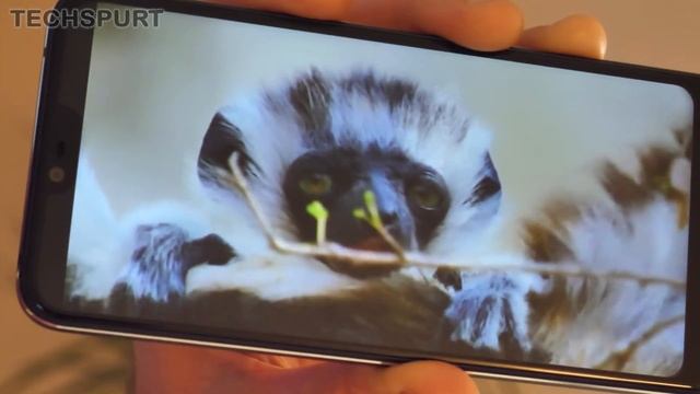 Best Android One Phones (2019) | Stock Favourites смотреть онлайн