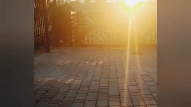 Релакс. Утренняя встреча цветов и солнца. Восход солнца! смотреть онлайн