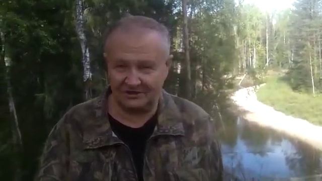 Про медвежьи повадки смотреть онлайн
