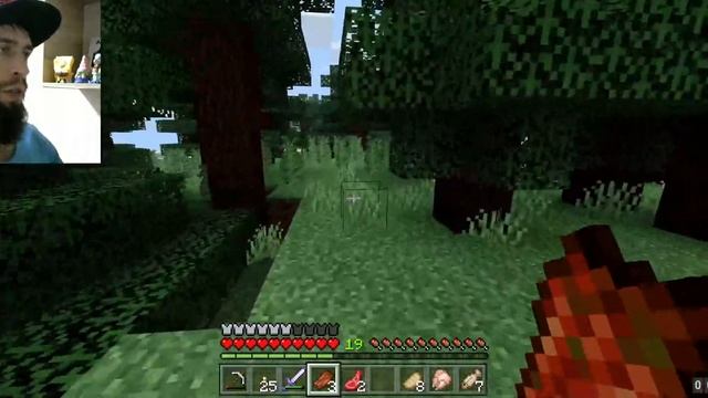 16 красителей для шерсти (достижения Minecraft 2/38) 7+ смотреть онлайн