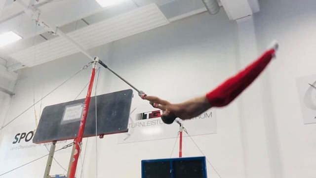 Ginger Salto Günther Wiesmeier смотреть онлайн