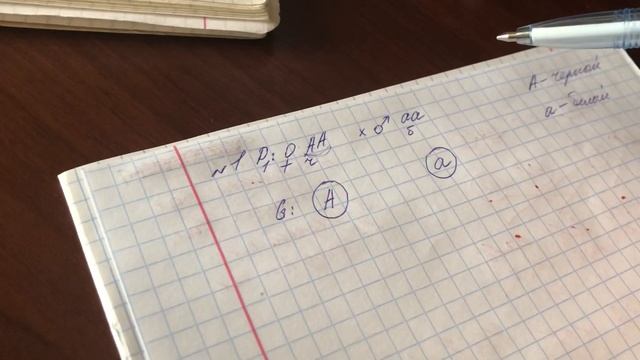 Задача на моногибридное скрещивание смотреть онлайн