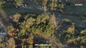 «Шервудский» лес — почти таёжный лесной массив, частично простирающийся вдоль трассы Изюм — Славянск