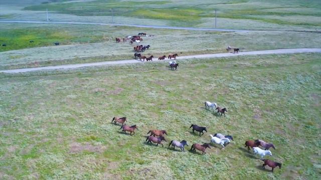 Цыгане смотреть онлайн