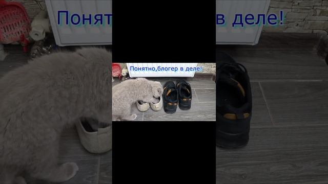 Как убрать неприятный ЗАПАХ обуви! Лайфхак