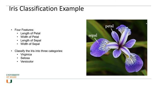 Classifying Iris types using KNN machine learning algorithm Part 1: Introduction and Data Download смотреть онлайн
