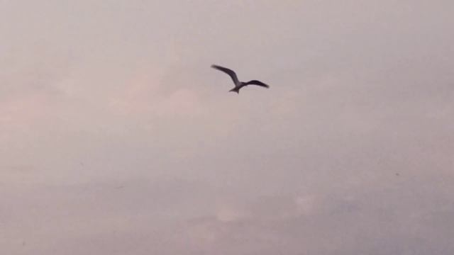 1 сентября 2023 г. смотреть онлайн