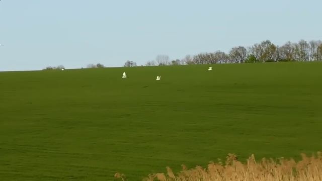 10 ЛУЧШИХ САМОДЕЛОК ДЛЯ РЫБАЛКИ и лучшие моменты на рыбалке 2019 смотреть онлайн