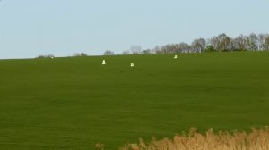 10 ЛУЧШИХ САМОДЕЛОК ДЛЯ РЫБАЛКИ и лучшие моменты на рыбалке 2019