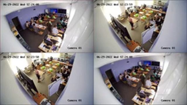 Демоэкзамен