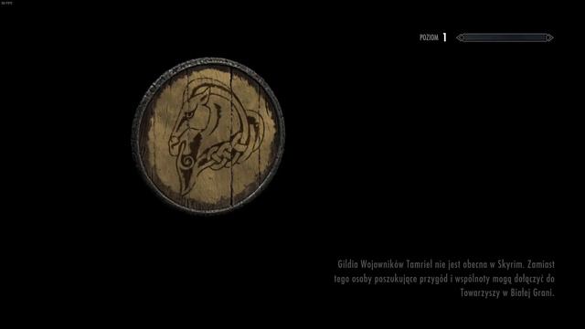 Skyrim fastest death speedrun ever registered смотреть онлайн