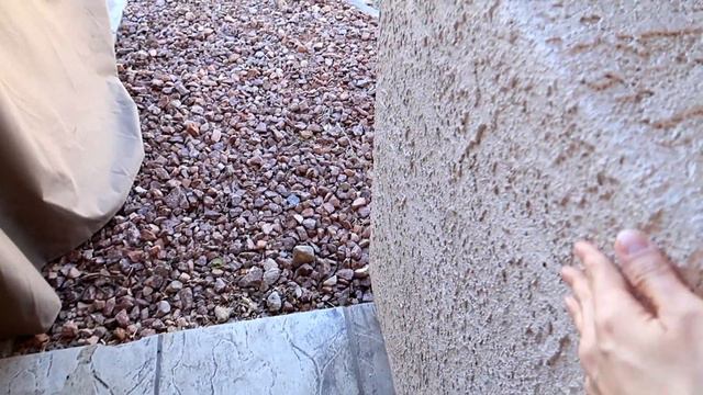 Plant Shopping! Outdoor Plants Big Box Store! Pink Jasmin | Pericallis | | Ana Andrea Xoxo смотреть онлайн