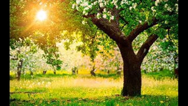 Повышаем вибрации! смотреть онлайн