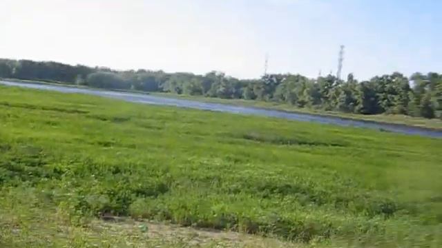 Просто вечерняя прогулка с далматином =))