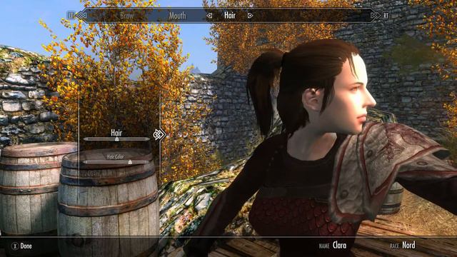 SKYRIM SPECIAL EDITION MODS APACHII SKYHAIR