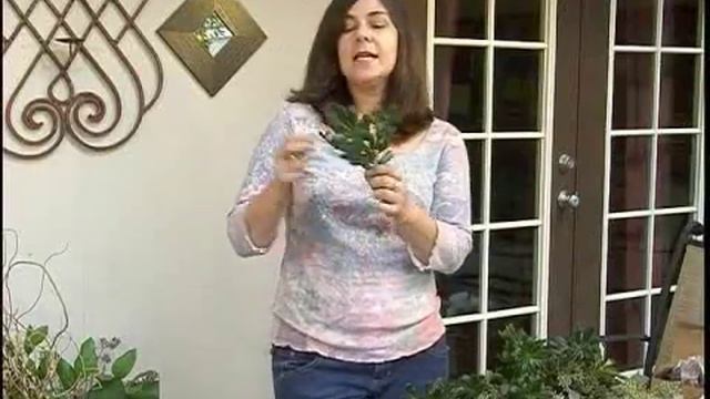 Flowers In The Attic Dvd | Sugar Flower Paste Recipe | Flower Girl Dresses Cheap смотреть онлайн