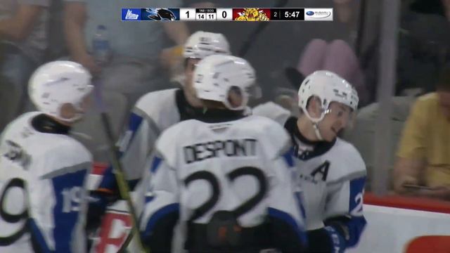 #133 Saint John Sea Dogs 2 Moncton Wildcats 3 - 30-10-22 смотреть онлайн