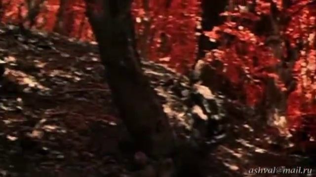 Аленький цветок смотреть онлайн