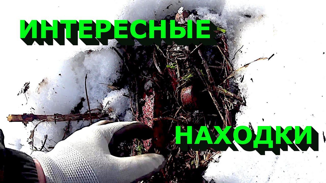 Интересные находки с металлоискателем!!! смотреть онлайн