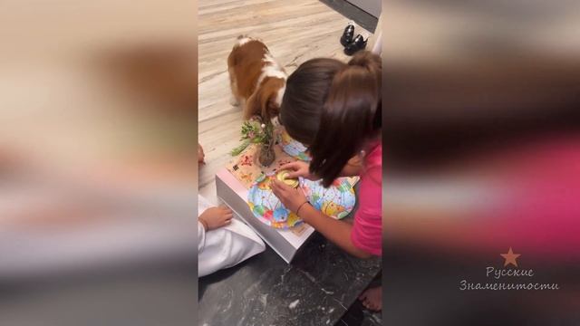 У собаки Ксении Бородиной Берти день рождения! 5 лет! смотреть онлайн