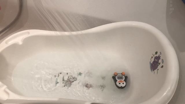 Термометр для воды 2 в 1 Пингвин. Penguin thermometr for water 2 in 1 смотреть онлайн