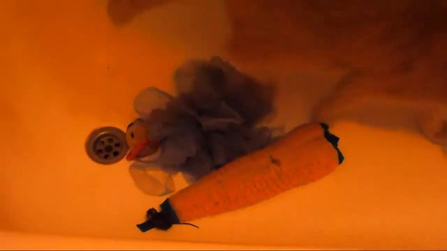 Кот первый раз увидел мышь (The cat for the first time saw the mouse) смотреть онлайн
