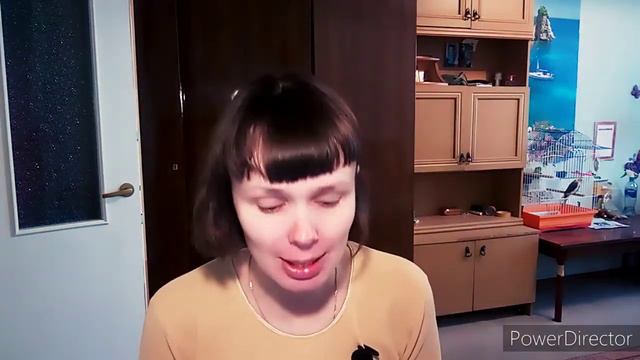 Алёна Швец. Комплексы. Кавер смотреть онлайн