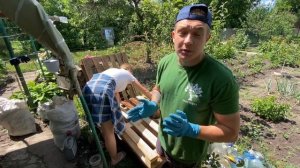 Чем обработать дерево ?Как защитить древесину ? Самая лучшая пропитка для дерева своими руками!