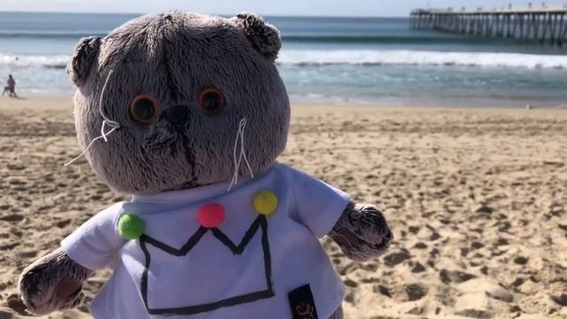 КАК БАСИК ОТДЫХАЕТ НА ОКЕАНЕ | Блог с Басиком смотреть онлайн