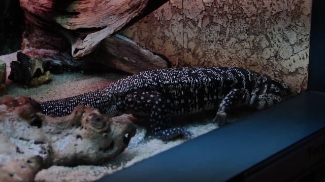 Красноярск, парк Флоры и Фауны 