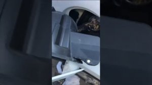 Шкода Йети, снятие лючка бензобака…