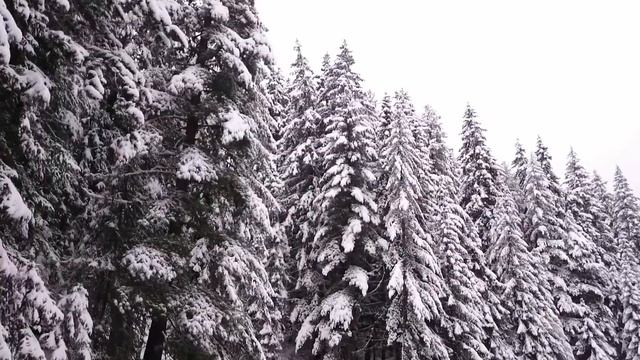 Первый снег в Банско в горах. 28 ноября 2015 г. смотреть онлайн