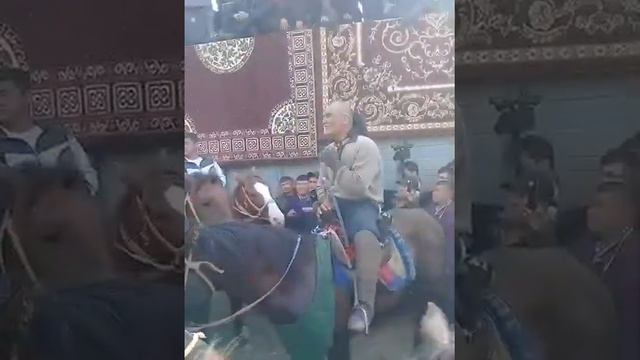 Купкарида Махмуд Номозов кушик айтди. смотреть онлайн
