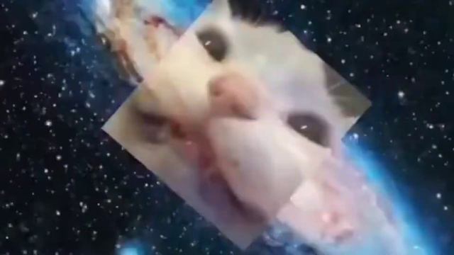 фортинайт или бабаджи 😭 смотреть онлайн