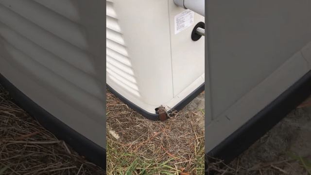 GENERAC 16KW UNDERSPEED ERROR CODE 1603 смотреть онлайн