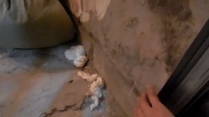 Что делать, если холодный угол в квартире?